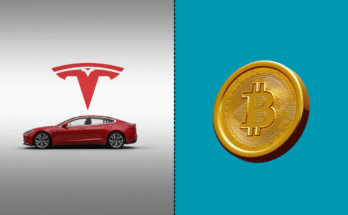 [Tesla Stock vs. Bitcoin] Which One Leads the Market in 2025?